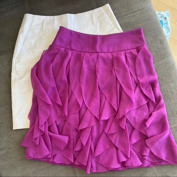 Ann Taylor Dresses & Skirts - LIKE NEW Ann Taylor Skirts, Size 0